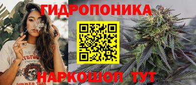 дживик Нальчик