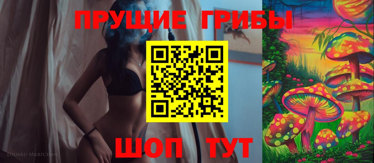 закладки  Псилоцибиновые грибы Cubensis  Вход с VPN  Удомля 